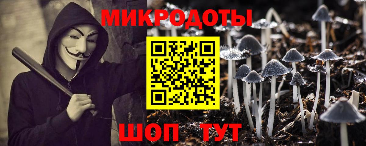 Галлюциногенные грибы Psilocybine cubensis  Псилоцибиновые грибы мицелий  Вход с VPN  Печора 